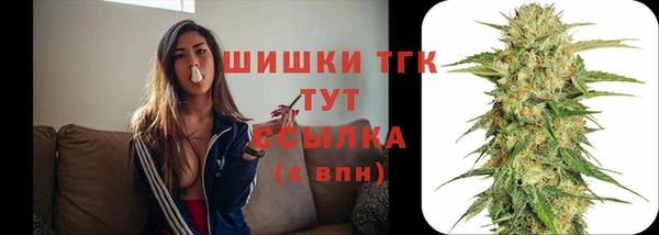 СК Богданович