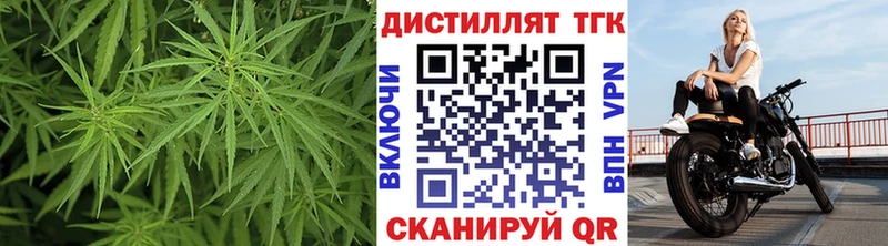 ТГК концентрат  продажа наркотиков  OMG зеркало  Елизаветинская 